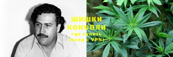 spice Алзамай