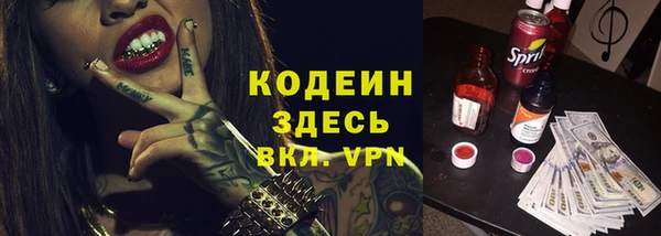 хмурый Алексин