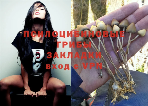 spice Алзамай