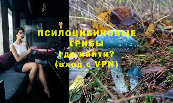 прущие грибы Алексеевка