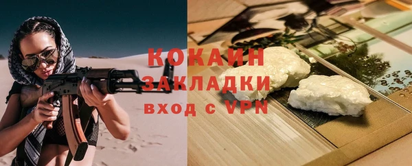 хмурый Алексин