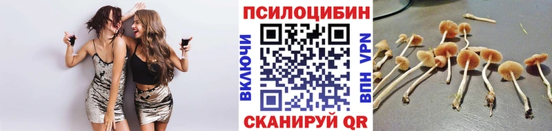 цены наркотик  Липки  Псилоцибиновые грибы прущие грибы 
